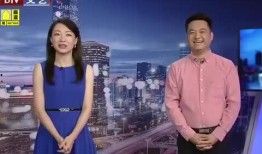 台湾高铁爆料视频最新消息,揭秘施工安全与进度疑云