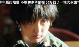 在线观看虐少爷,揭秘网络虐恋背后的心理奥秘